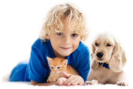 Startpage hero image